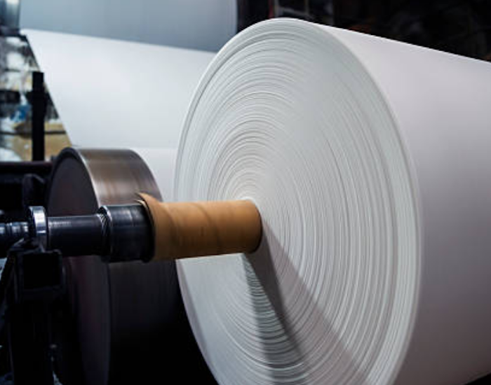 Pulp and Paper Pulp and Paper